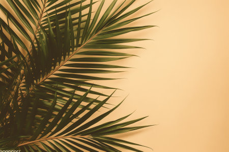 Tropical palm leaves on yellow background with copy space for textの素材