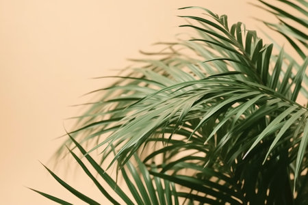 Green palm leaves on a beige background. Copy space for text.の素材