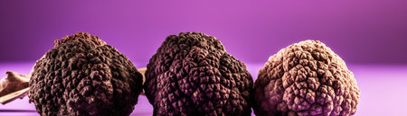 Close-up of purple truffles on a purple background.の素材
