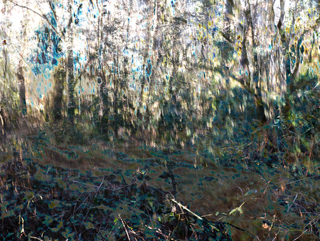 abstract woods backgroundの写真素材