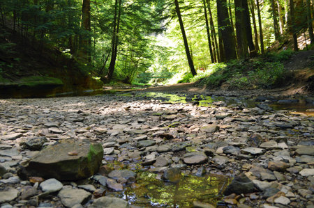 Walking Path