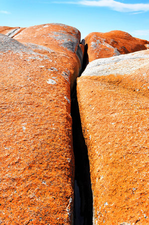 Bay of Fires Tasmania Australia - Orange Lichen rocksの写真素材