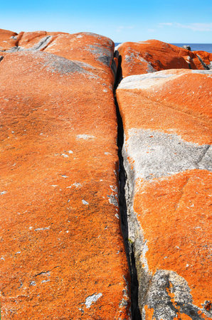 Bay of Fires Tasmania Australia - Orange Lichen rocksの写真素材