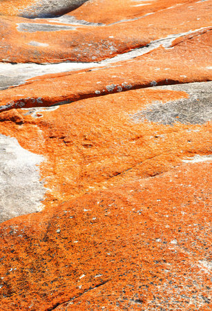 Bay of Fires Tasmania Australia - Orange Lichen rocksの写真素材