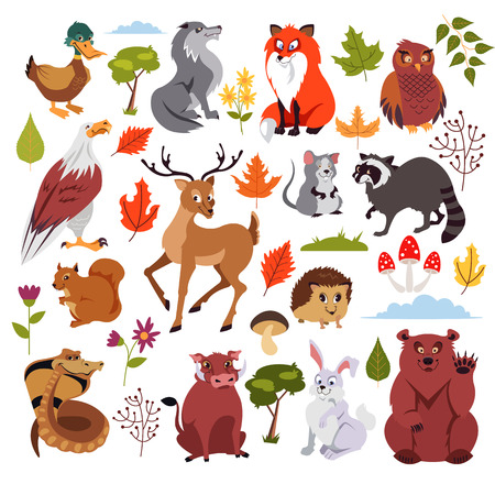 Wild forest animals set with plans, mushroom and tree. Graphic design for children book. Vector flat isolated cartoon illustration