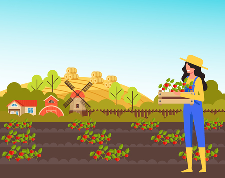 Woman farmer character holding box of plant. Farming agriculture concept.のイラスト素材