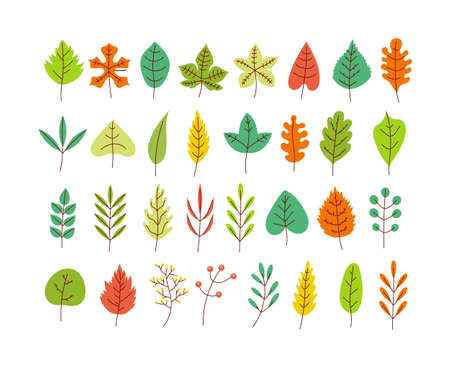 Set of different type and color season leaves isolated on white background collection design elementのイラスト素材