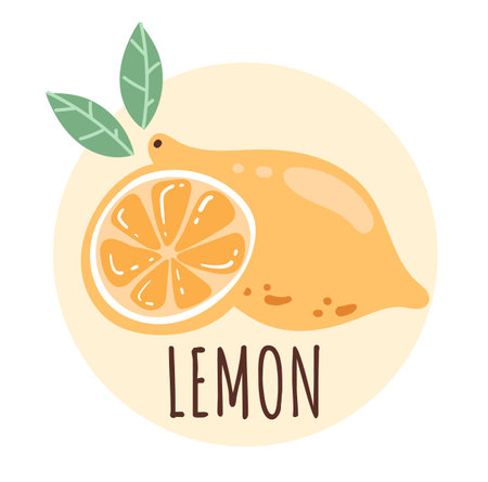 Lemon half slice graphic design hand drawn illustrationのイラスト素材