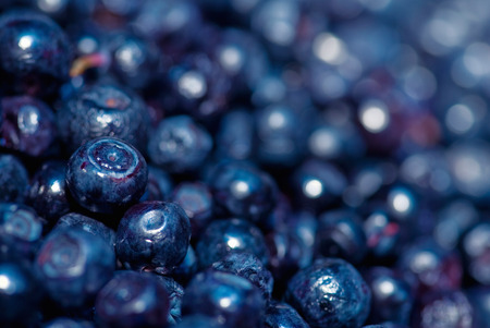 Blueberry macro shot, shallow depth of field, left heap in focus, convenient copy space on the rightの写真素材
