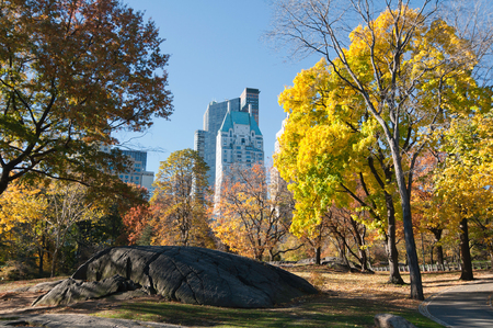 Sunny autumn morning in Central Park. Wide angle, polarizing filterの写真素材