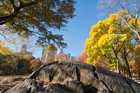Fall in Central Park. Wide angle, polarization filterの写真素材