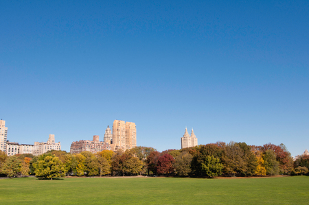 Autumn morning in Sheep Meadow area, Central Park, New York. Wide angle, polarizing filterの写真素材