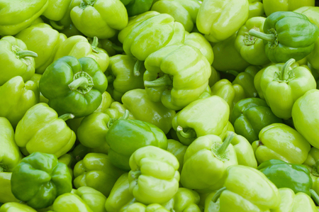 Fresh green peppers, selective focusの写真素材