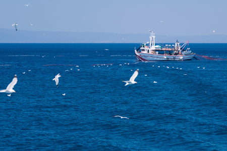 Trawler with catsed nets and number of sea birds aroundの写真素材