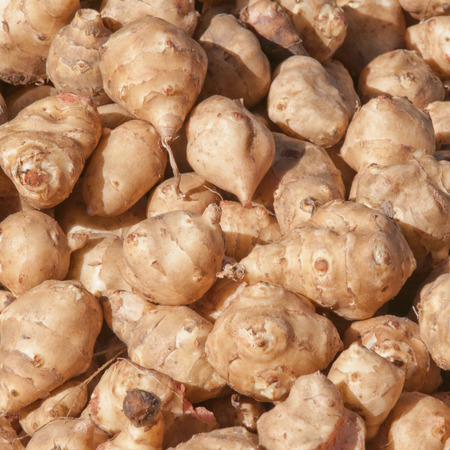 Sunchokes in sunlight. Deep focus, convenient for backgroundsの写真素材
