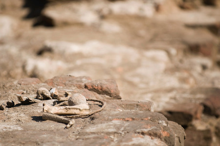 Revealed remains of Roman Termaeの写真素材
