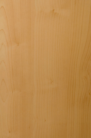 Ash wood backgroundの写真素材