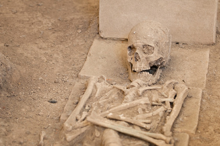 Some 2000 years old skeleton revealed at archeological siteの写真素材