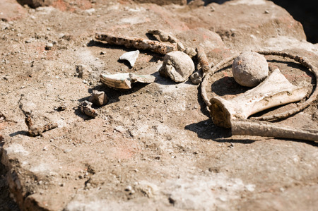 Archeological artifacts: metal, pottery and stone objects, bones. Selective focus