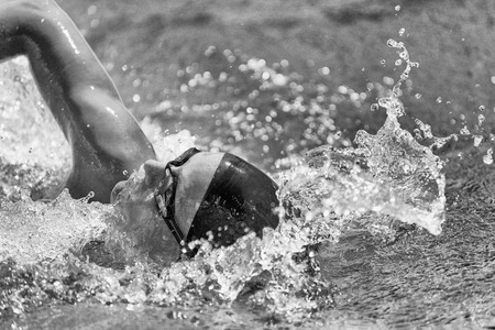 Swimming fast - High speed action in black and whiteの写真素材