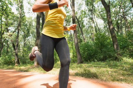 Running forest stepsの写真素材