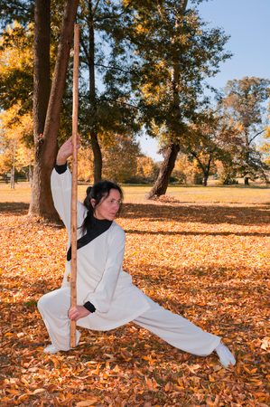 Kung Fu master with stick in fighting stance. Polarizing filterの写真素材