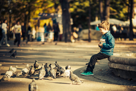 Cute boy in park, feeding pigeons