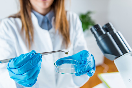Scientific laboratory researchの写真素材