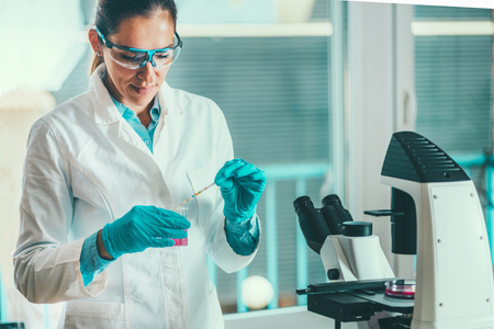 Life science researcher in laboratoryの写真素材