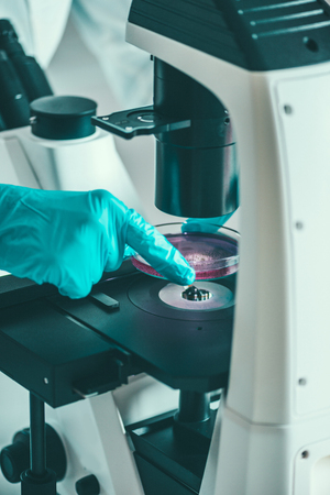 Biotech lab research, placing petri dish with cell culture under the microscopeの写真素材