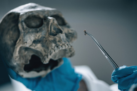 Forensic Science in Lab. Forensic Scientist examining skull with evidences