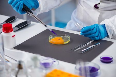 Quality control expert inspecting at egg in the laboratory
