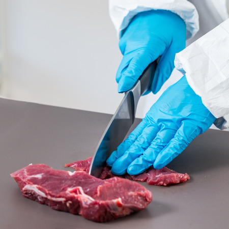 Quality control expert inspecting at meat  in the laboratory