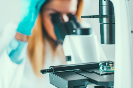 Female biotechnology scientists working in laboratory