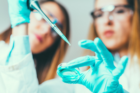 Life science research. Technicians using micro pipetteの写真素材