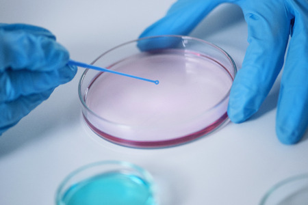 Microbiology labの写真素材