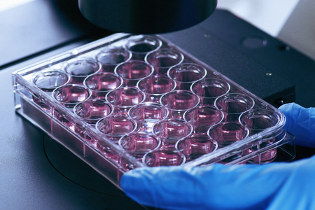 Life science research detailの写真素材