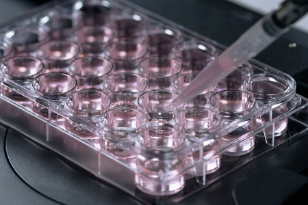 Life science researchの写真素材