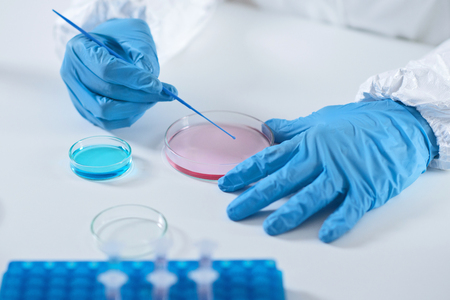 Microbiology labの写真素材