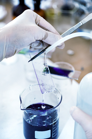 Microbiology laboratory workの写真素材
