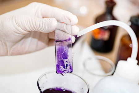 Microbiology laboratory workの写真素材