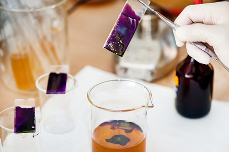 Microbiology laboratory workの写真素材