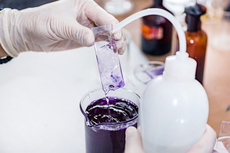 Microbiology laboratory workの写真素材