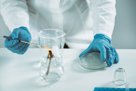 Microbiology. Hands of a microbiologist working with bacteriaの写真素材