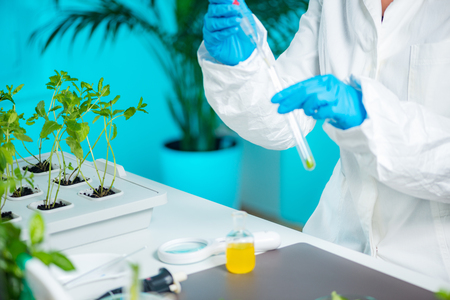 Biologist Examining Samplesの写真素材