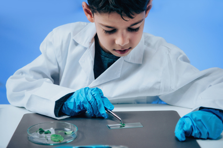 Schoolboy using lab equipmentの写真素材