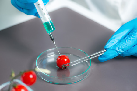GMO geneticaly modified food