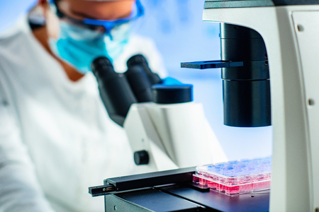 Stem cell researcher working in laboratoryの写真素材