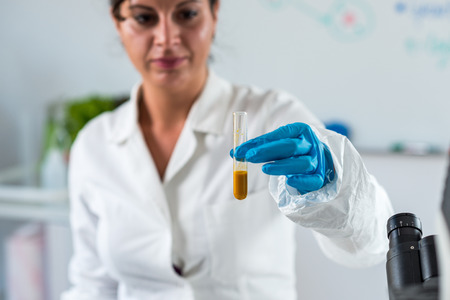 Quality control expert inspecting at curcuma in the laboratory