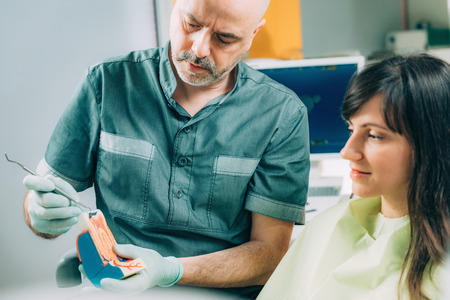 Dentist with Young Female Patient, explaining tooth anatomyの写真素材